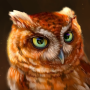 icon The Owl(Baykuş
)